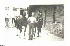 1910-FB-Horses