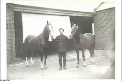 1912-FB-HQ-Horses-Hector-and-Hero