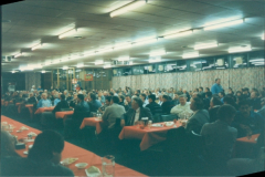 1993-Social-22-Custom