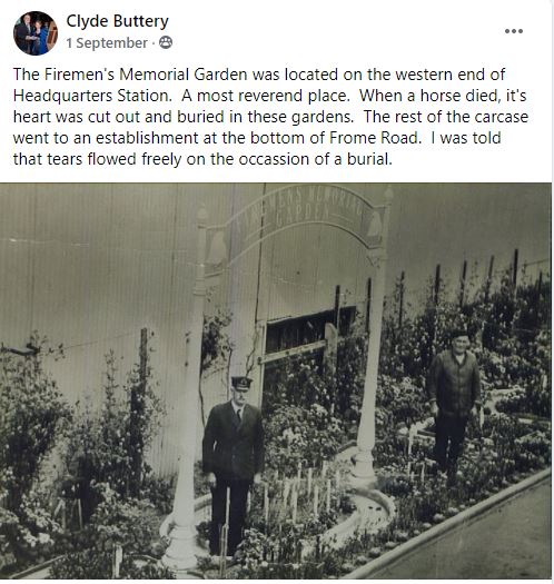 Horse-Garden