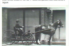 CO-Car-1