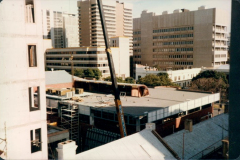 1984-1-0010-Small