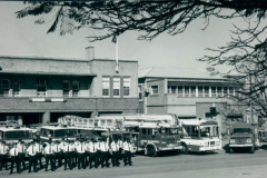 Vintage-Adelaide-Stion-1980