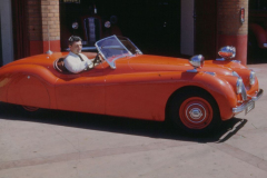 Vintage-CO-Jaguar