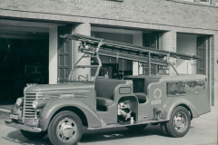 Vintage-Diamd-T-3