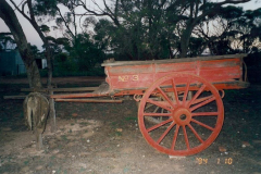 Vintage-Horse-buggy-2