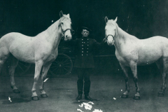 Vintage-Horses-1