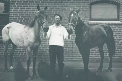 Vintage-Horses-12