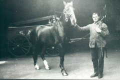 Vintage-horse-10
