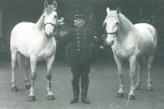 Vintage-horses-2