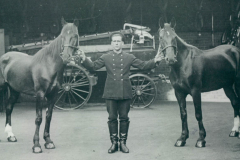 Vitage-Horses-5